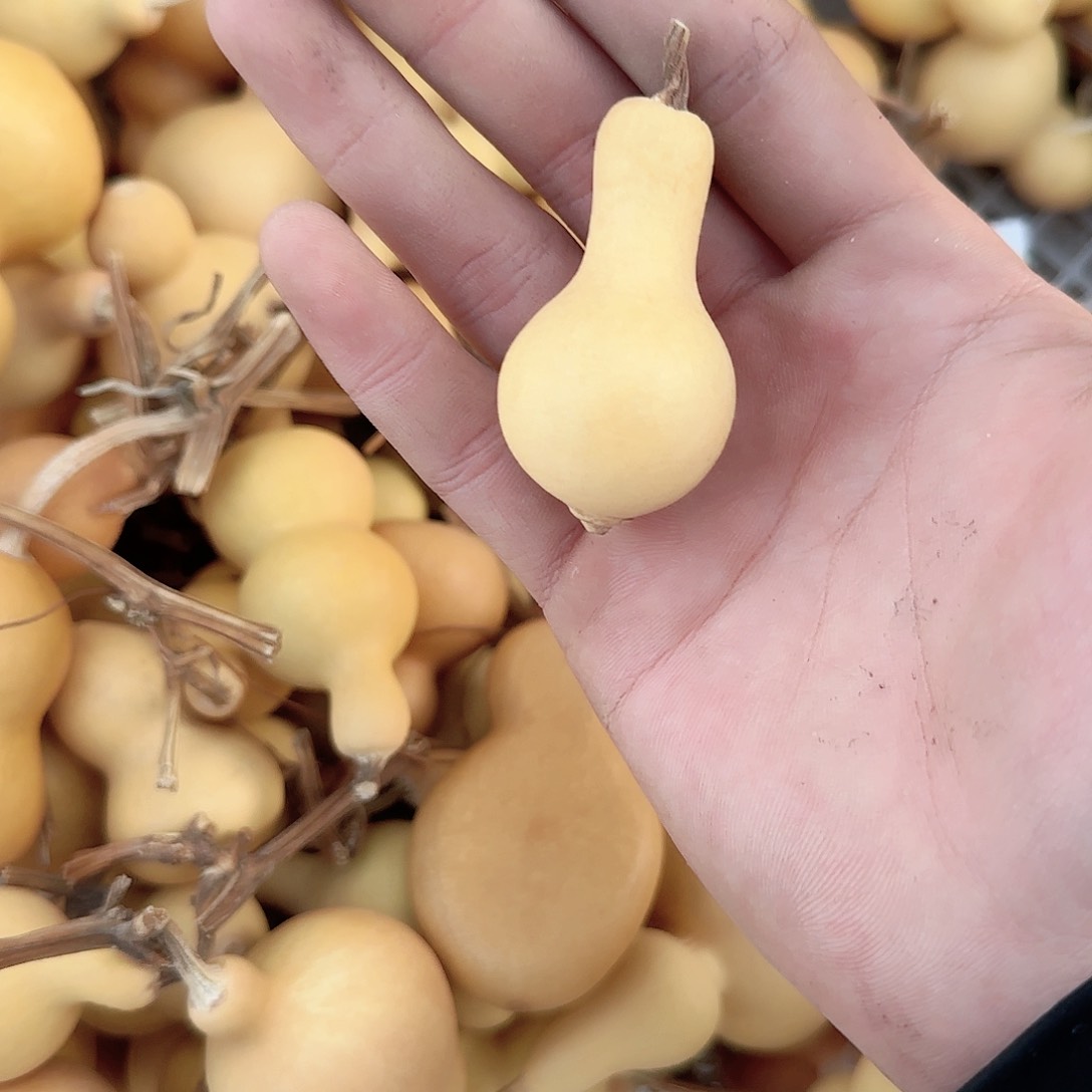 三*你在一起我也很高兴　