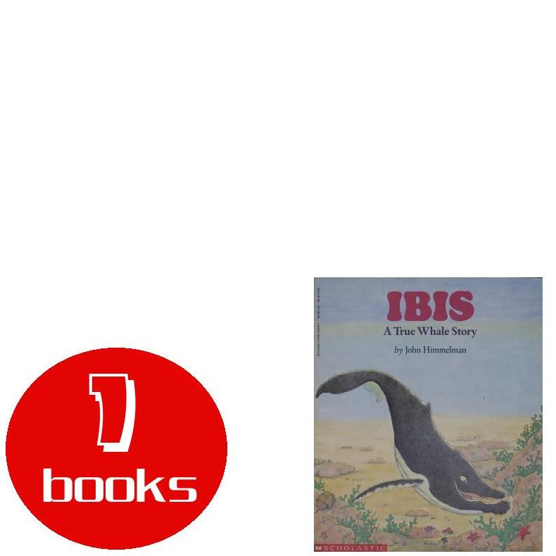 英文原版绘本1本93251203019