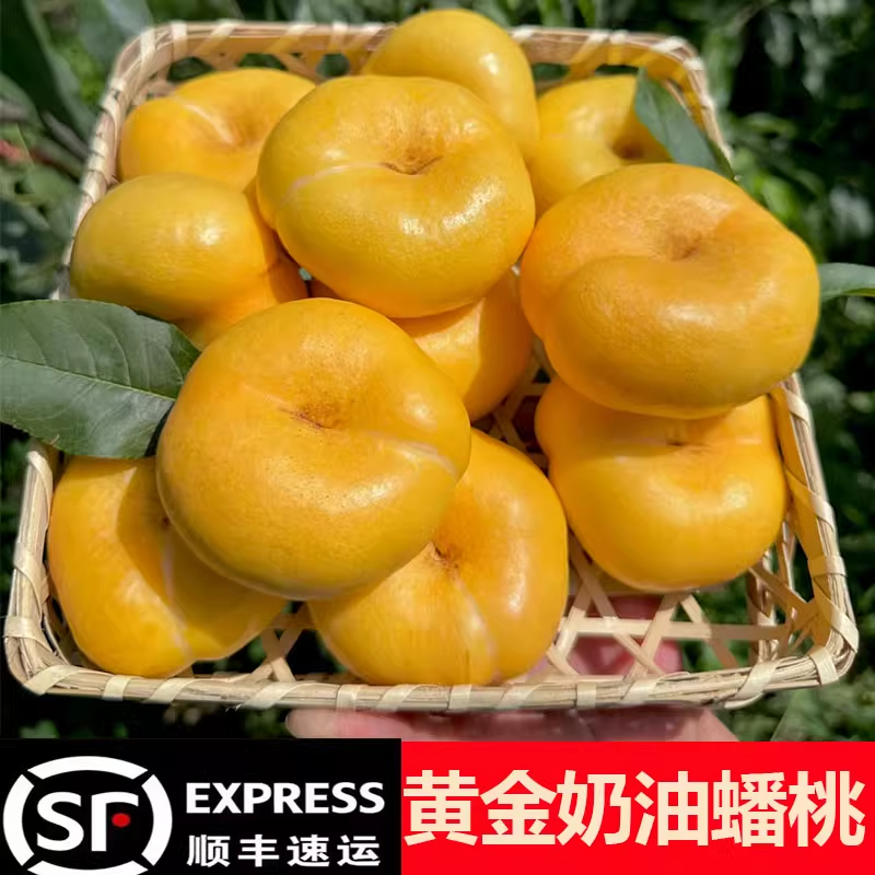 奶油蟠桃【明天到】蒙阴黄金爆甜无酸彩虹蟠桃黄油蟠桃现摘现发2/4斤坏果包赔桃子同城送山东省
