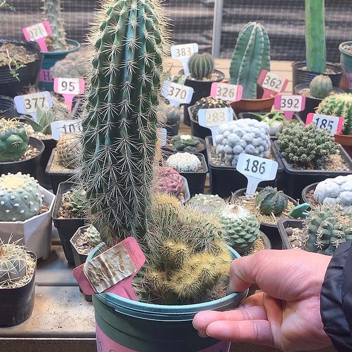 幸福柱蕞化，，，，，，，，，，，，，，