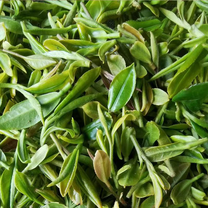 露天新茶上市清香型豌豆鲜口感醇厚滋味浓郁绿茶