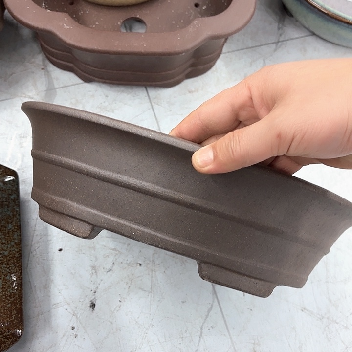 紫砂花盆紫砂的花开了