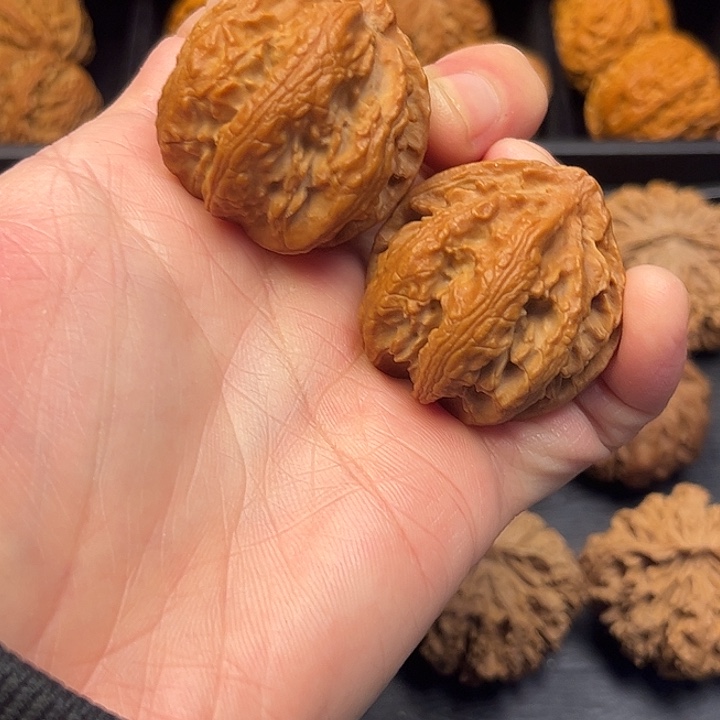 大叶紫檀（黑酸枝木类）