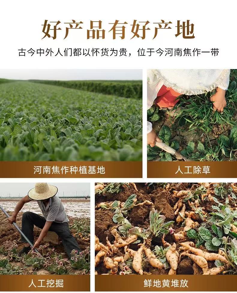 河南焦作九蒸九晒熟地黄