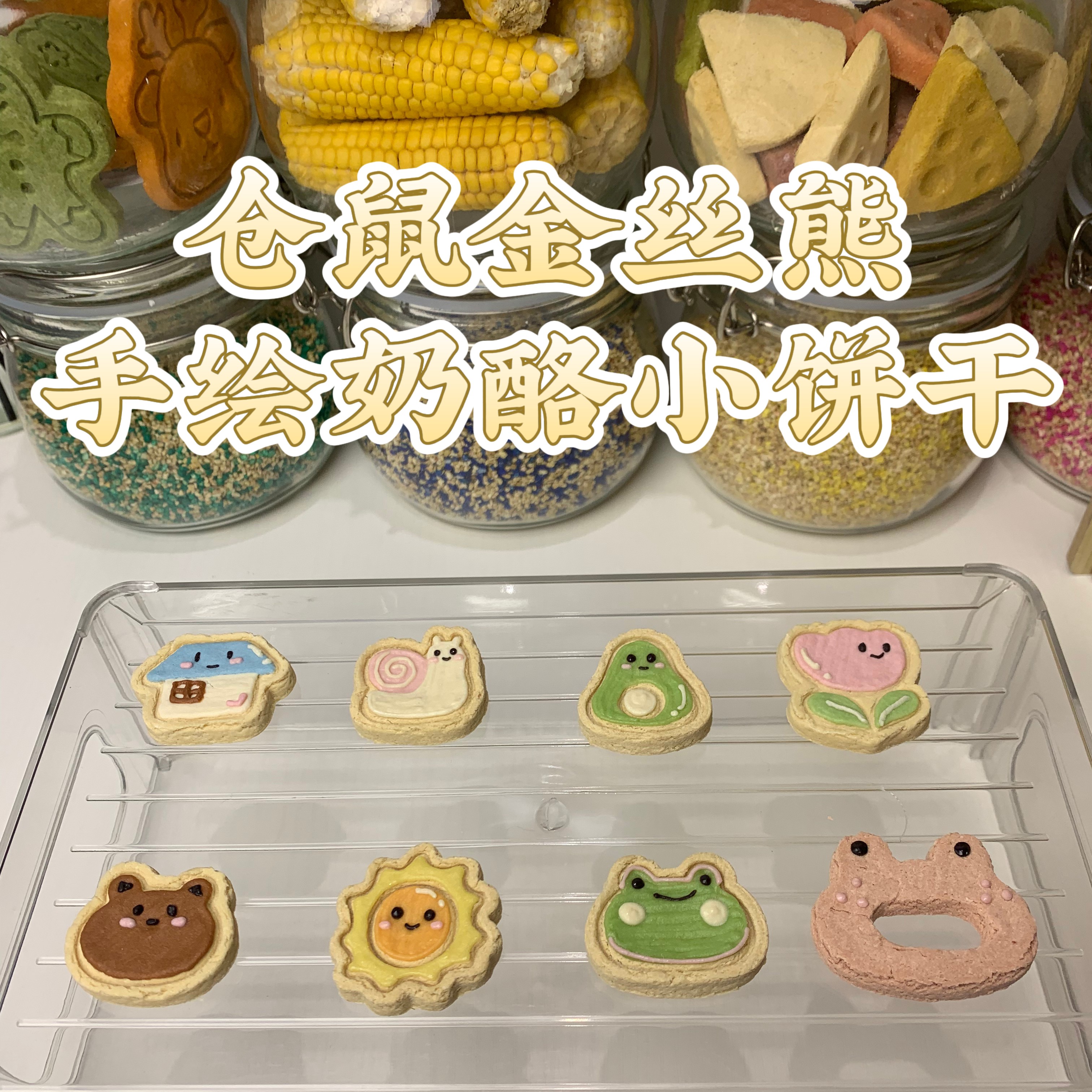 仓鼠金丝熊酥脆清香真材实料手绘造型磨牙小饼干