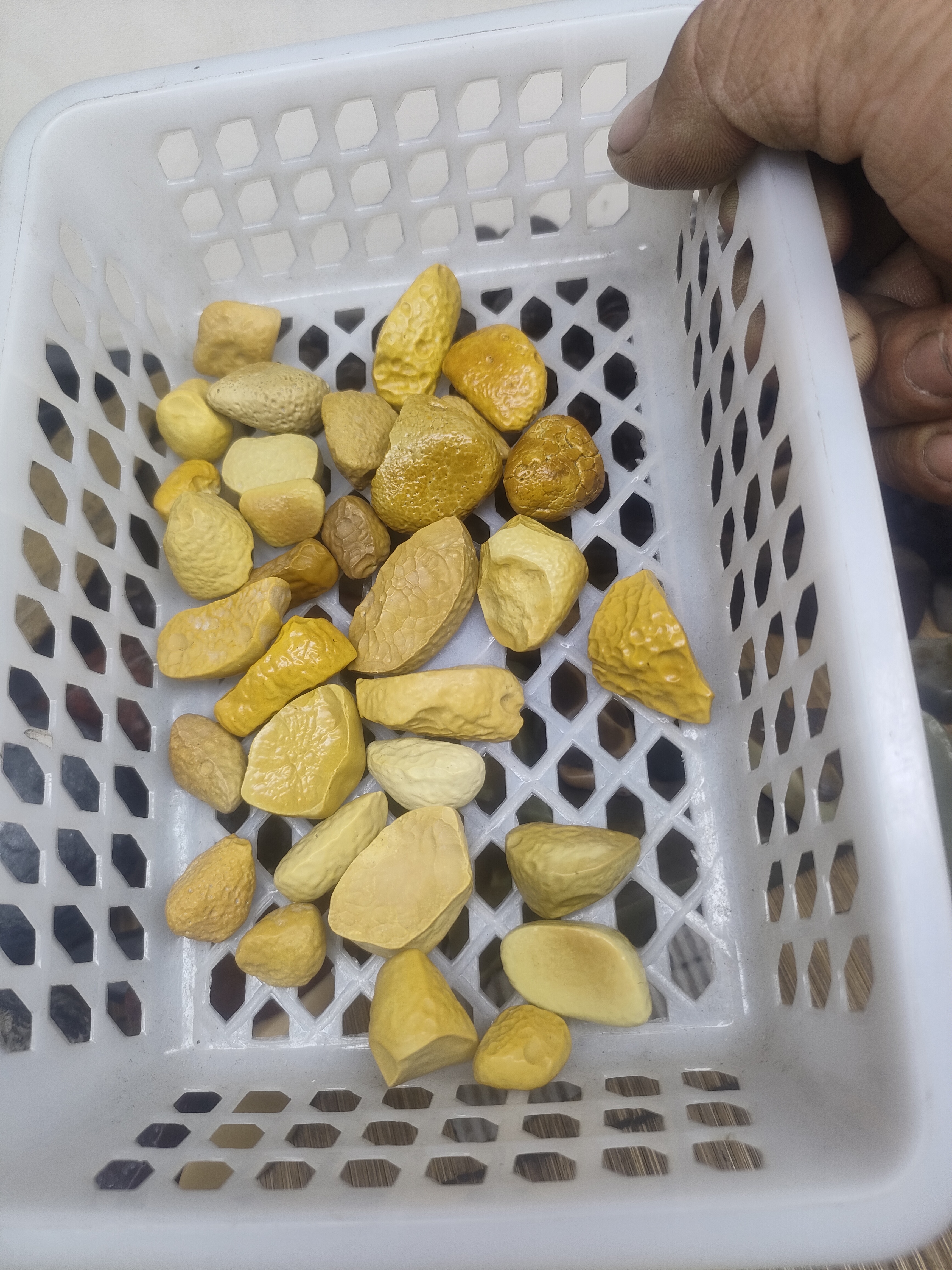 新疆戈壁石泥石手把件皱纹泥硅化木风凌石化石摆件对石老坑熟泥