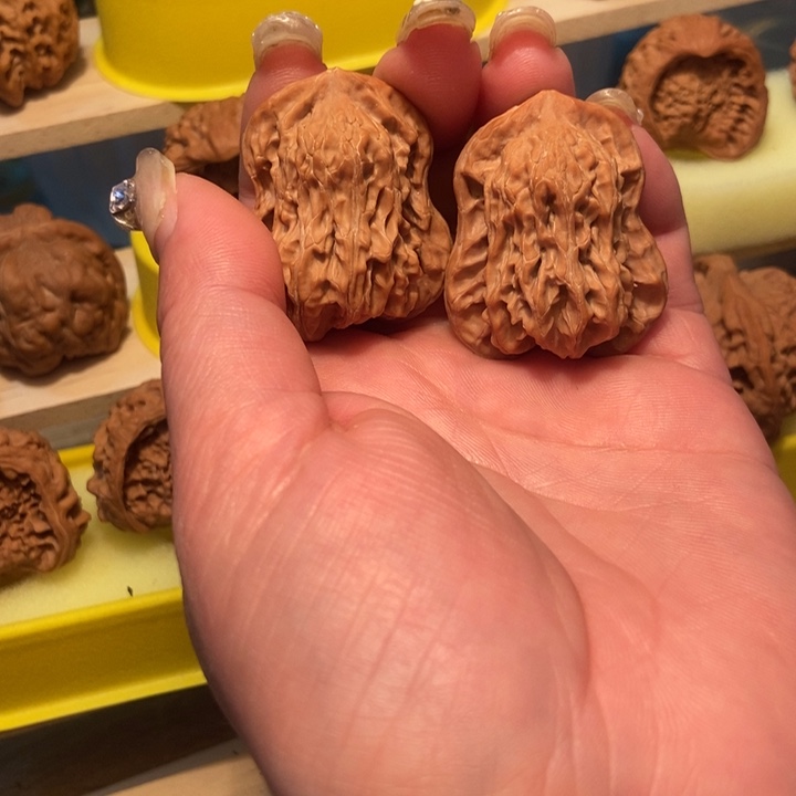 官方网站也将正式