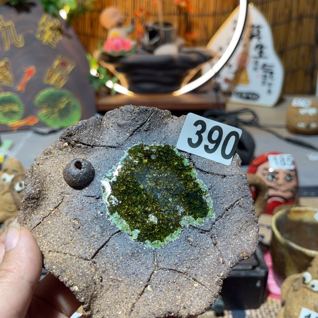 木村信弘柴烧保平