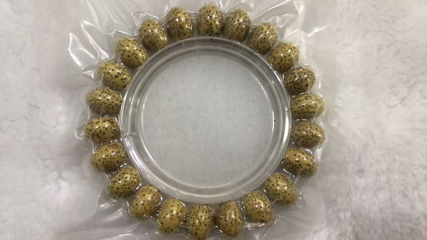 王者鸡油黄苹果14mm单圈