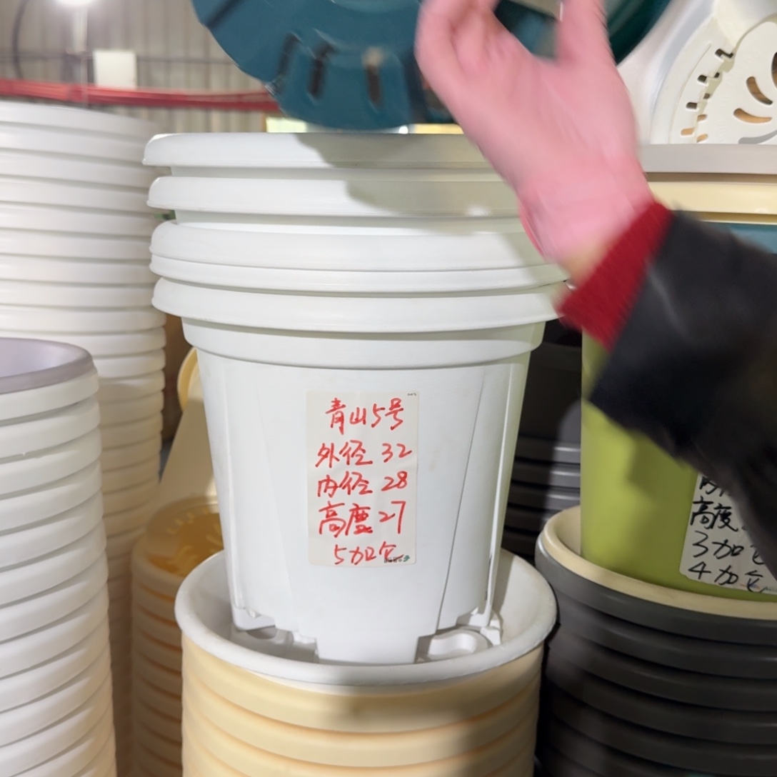 青山5#口径32无拖纯白5个