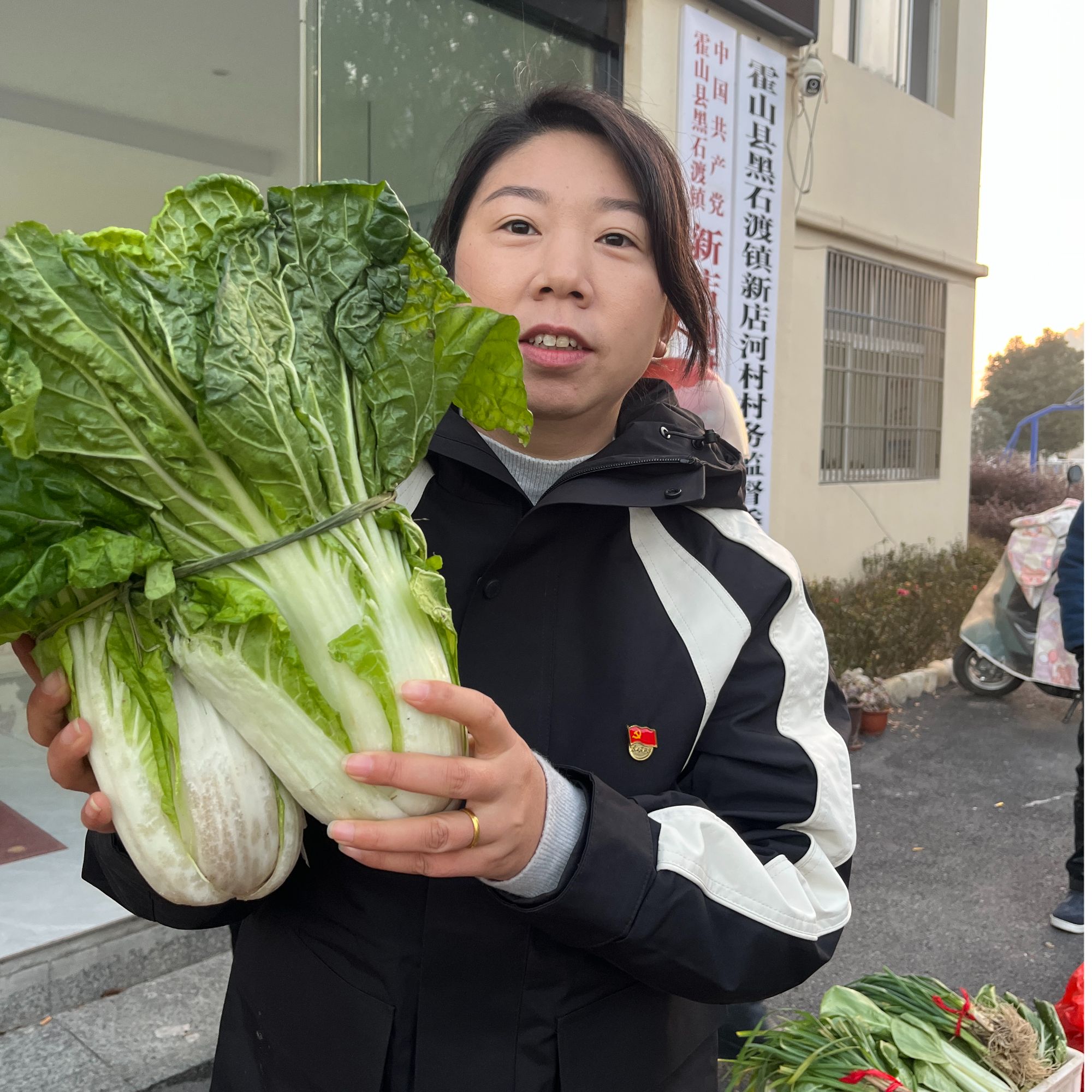  【书记助农】大别山农户自种现挖现发新鲜黄芽菜