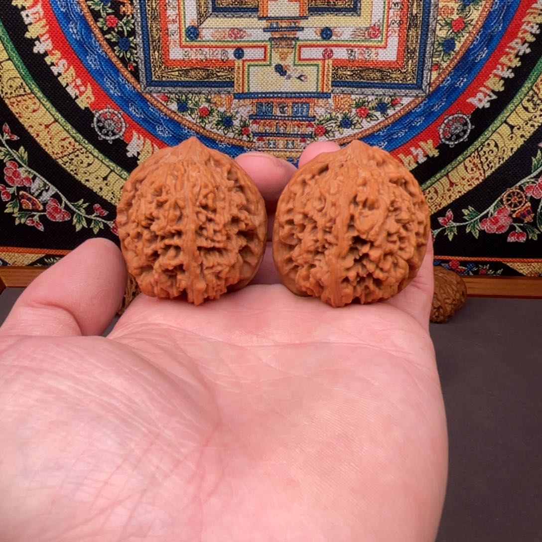 核桃把件40:全品满天星