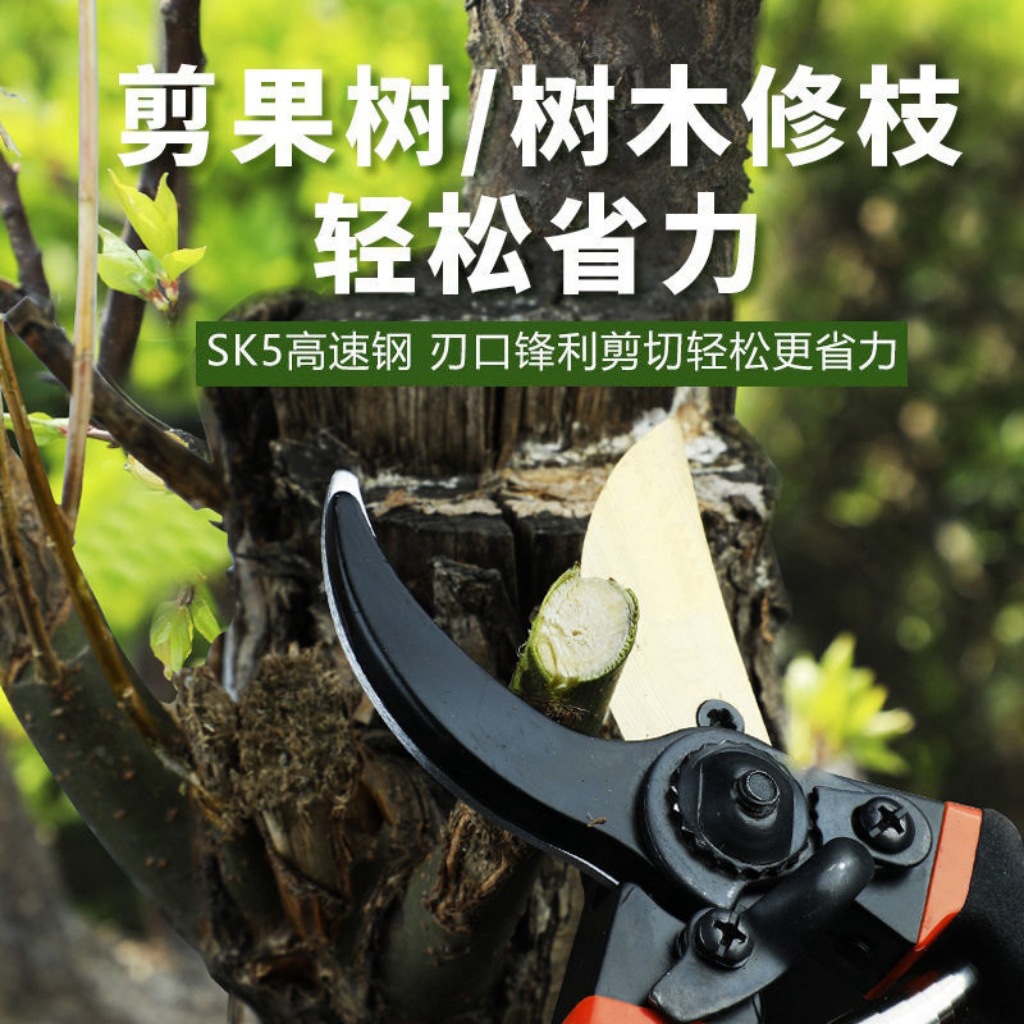 定制剪粗枝修枝剪SK5园林园艺剪刀盆景花艺剪刀大号果树修剪枝剪
