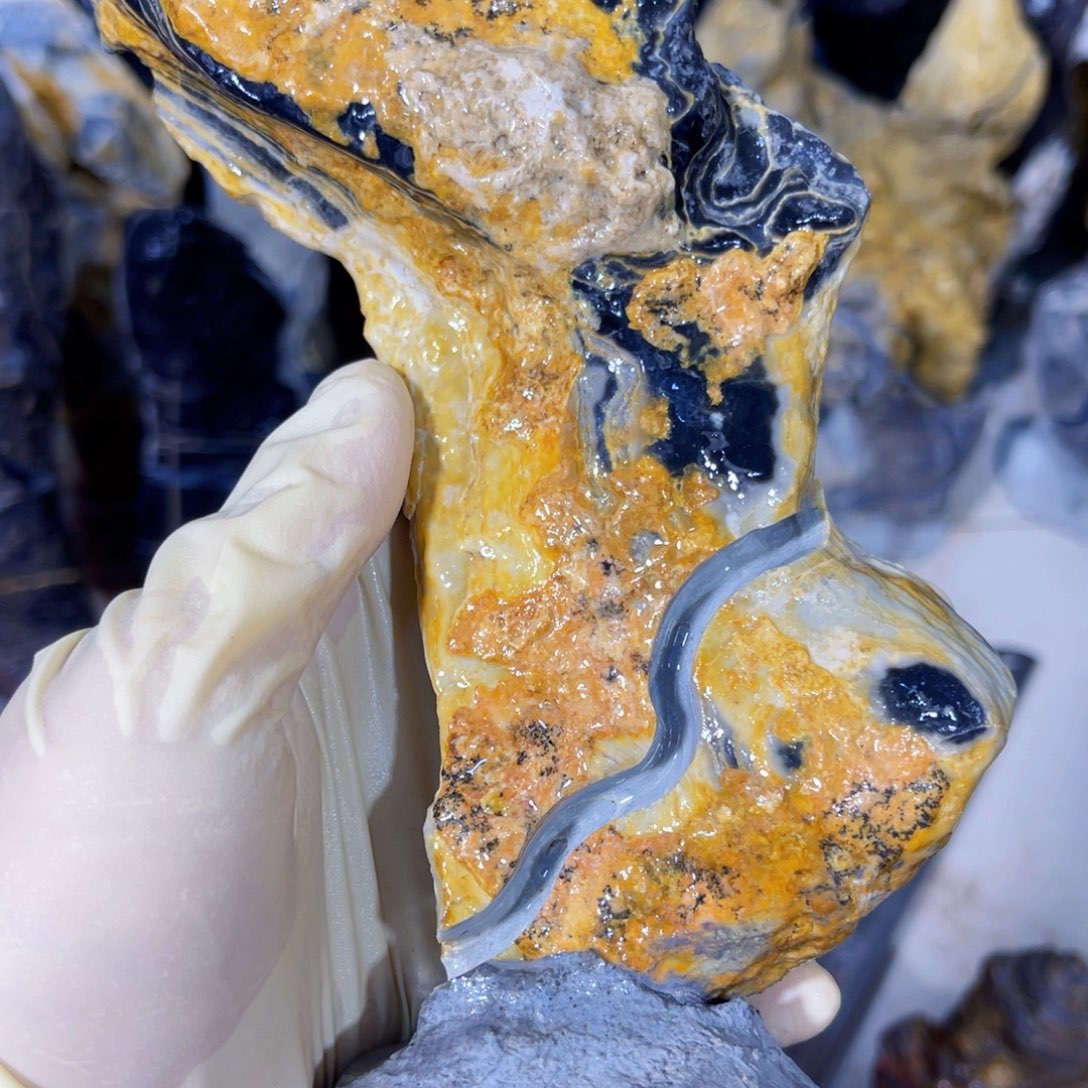 北**春附石盆景一物一拍