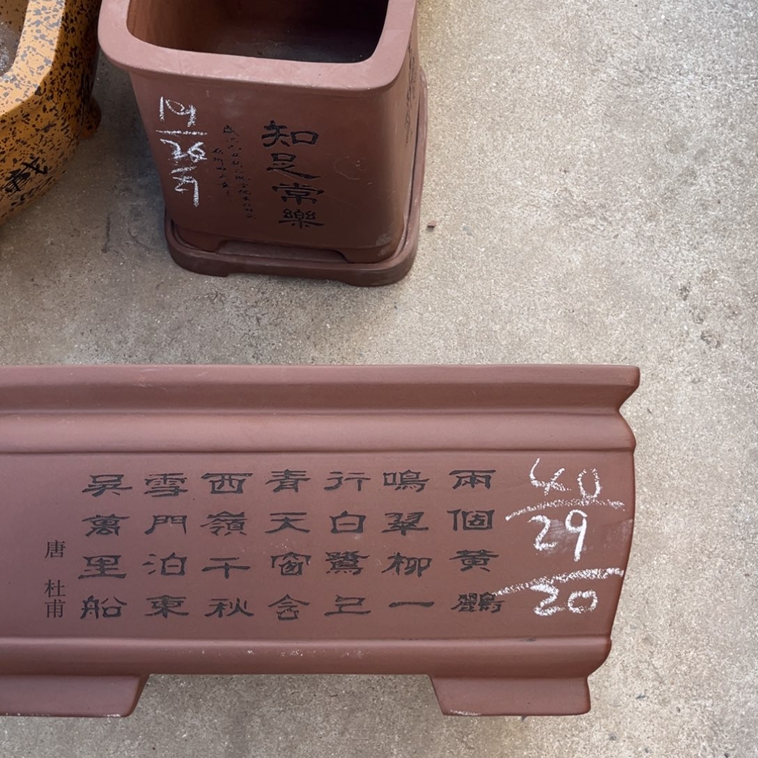 花盆紫砂盆景艺术