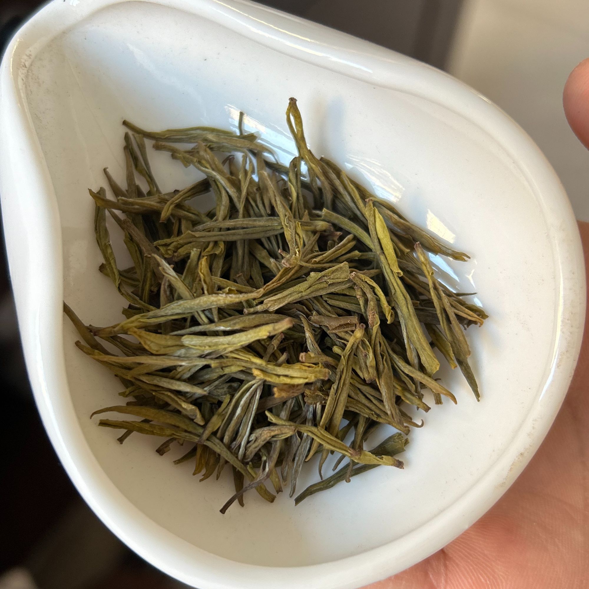 2024年新茶特级茉莉花茶茉莉一枝独秀 