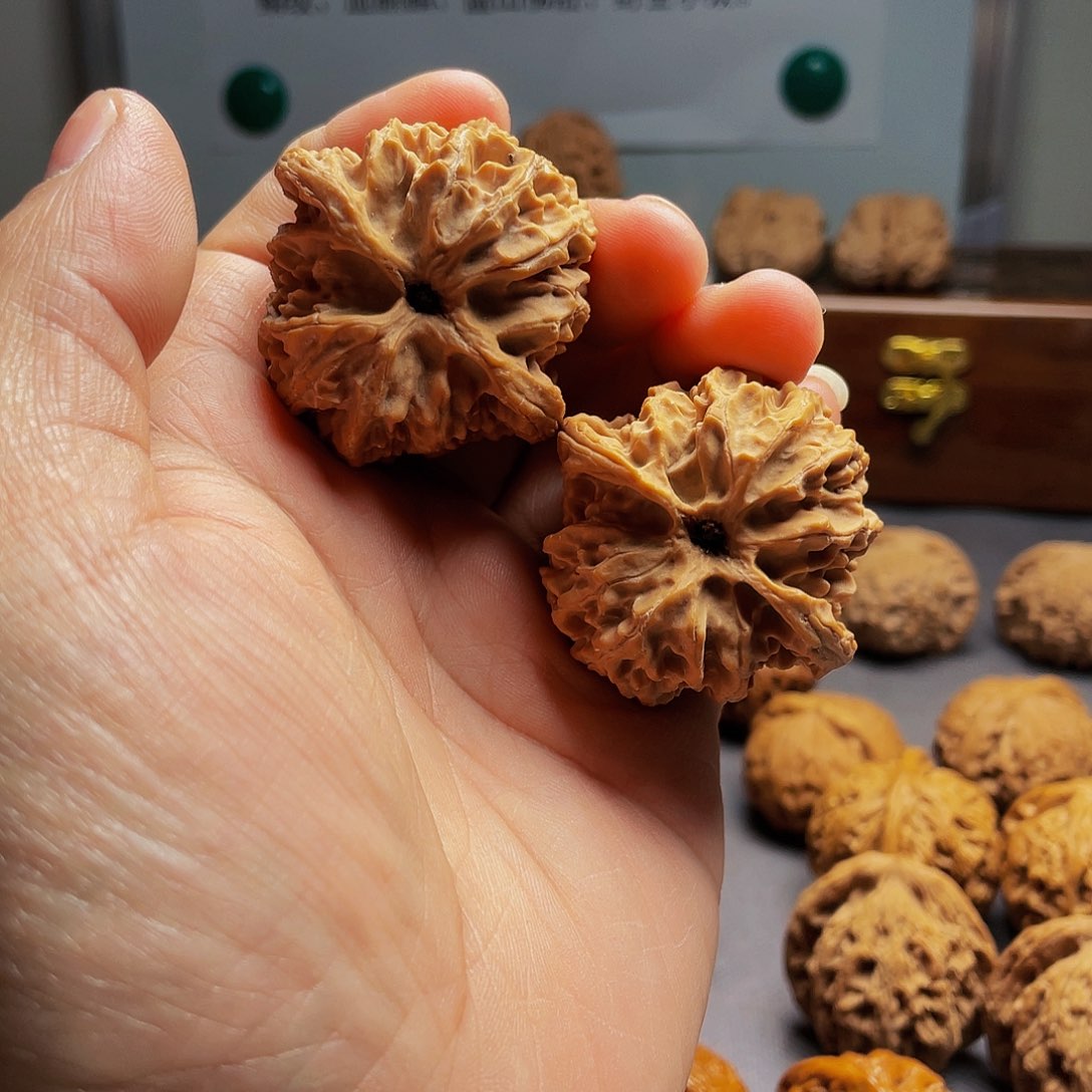 猴头核桃把件小**！苹果园