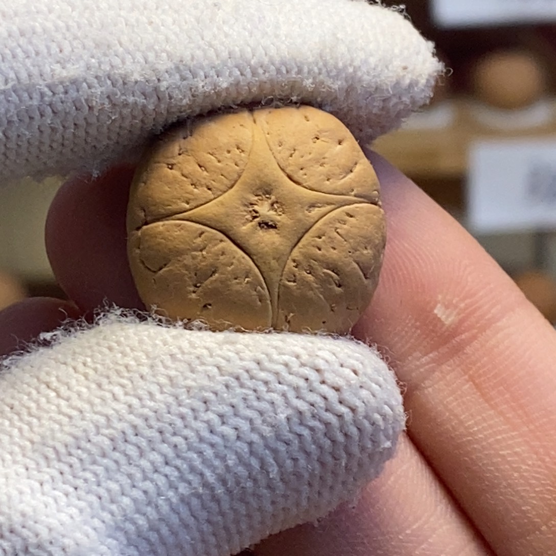 吊坠凤眼菩提麒麟眼