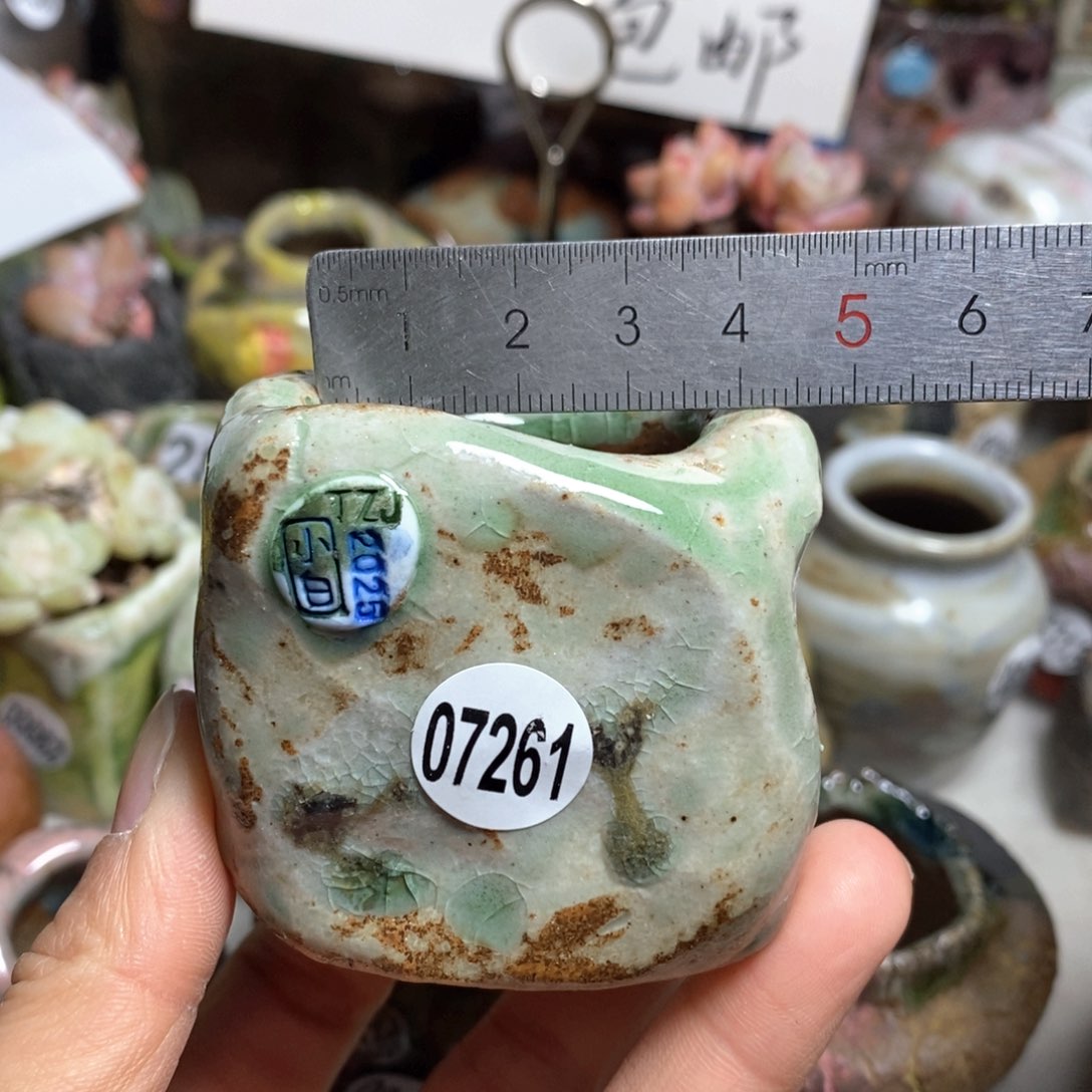 花盆拍3送一个小礼物