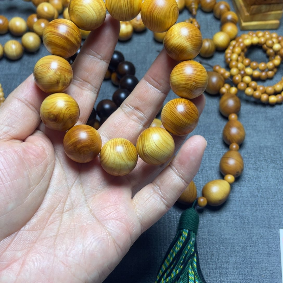 柏木（崖柏）太行2.0崖柏