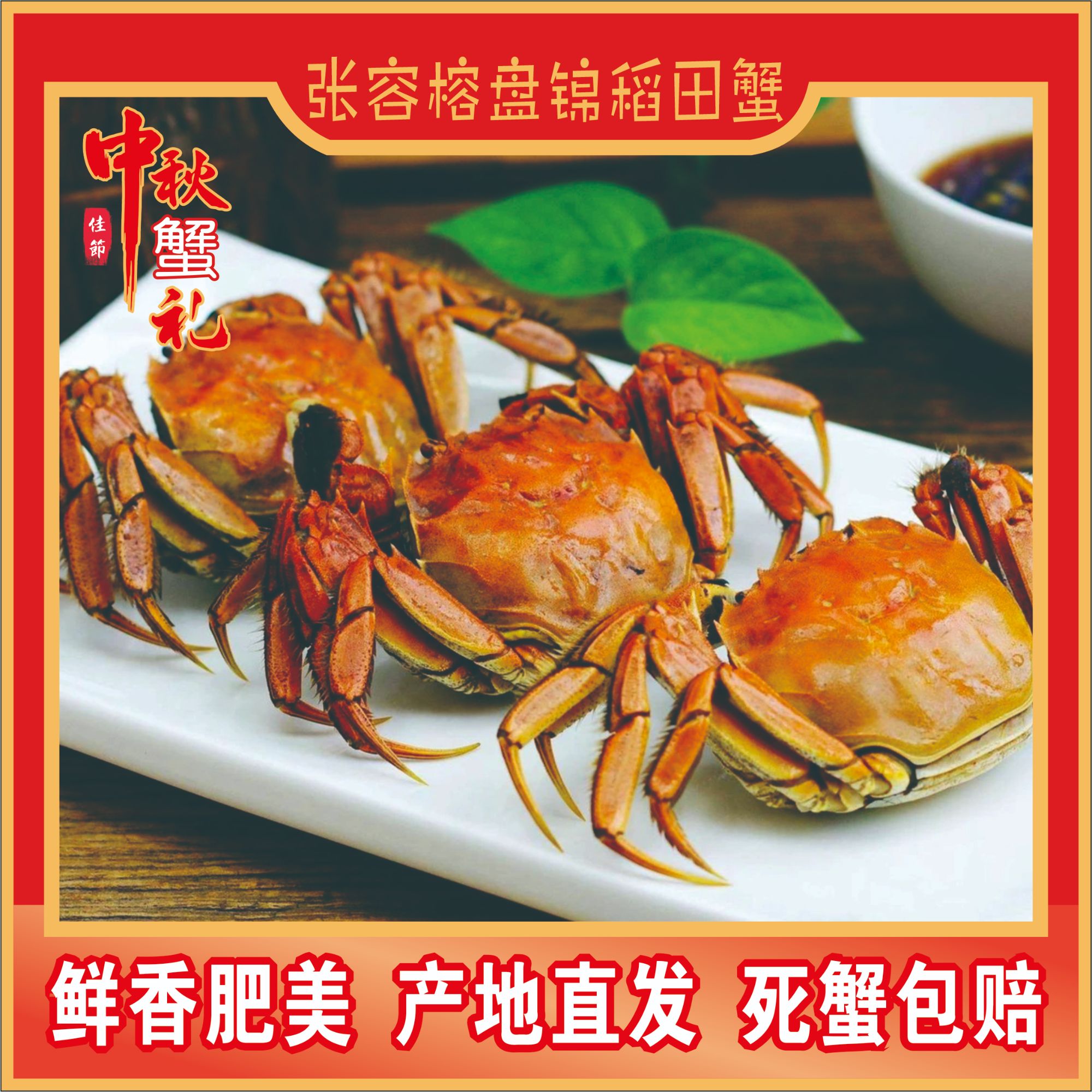 【活蟹】盘锦河蟹1.7-2两/只全母蟹10只卡扣礼盒