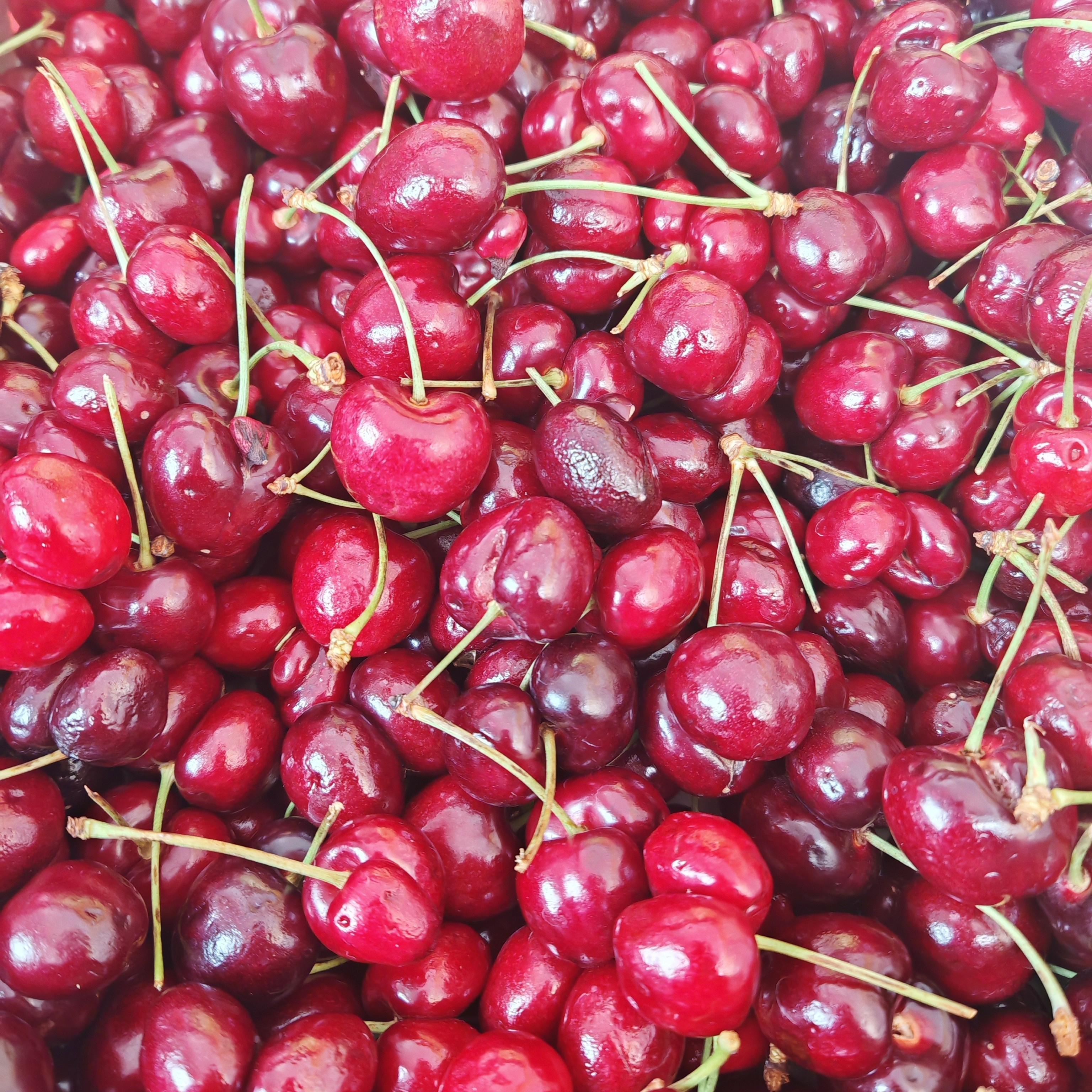 双胞胎车厘子福利J-JJ三斤