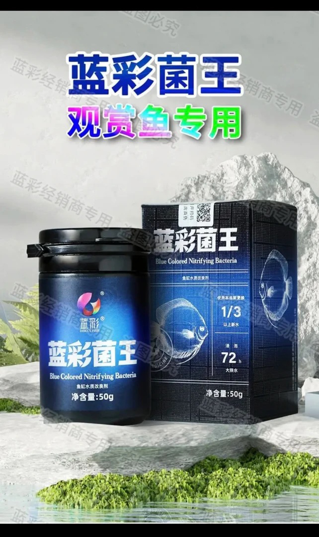 蓝彩菌王七彩神仙鱼专用