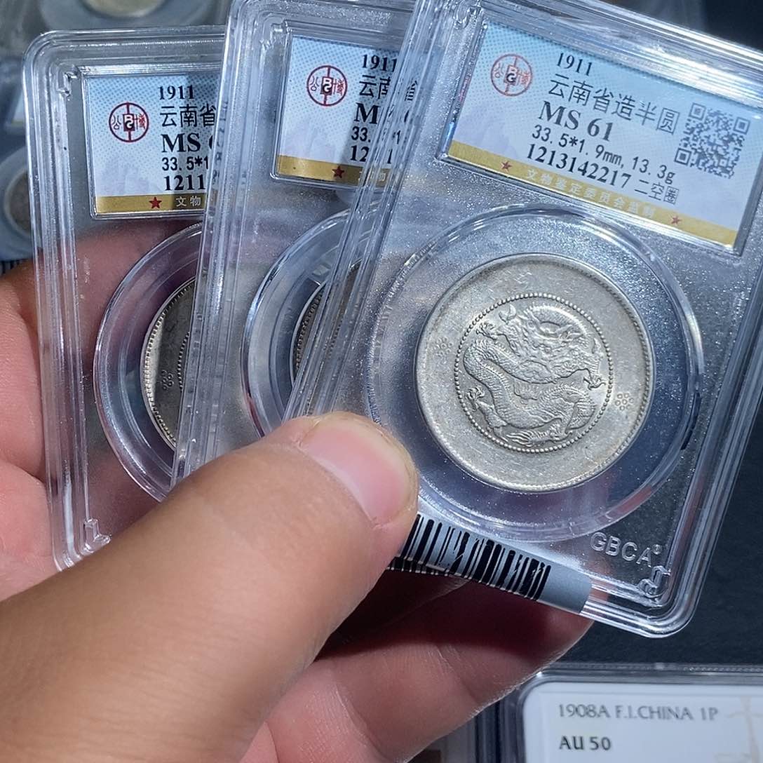 银朋*旭大头云南半圆龙三枚217 594