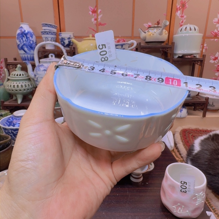 杯508啊啊啊啊啊啊啊啊啊啊啊啊