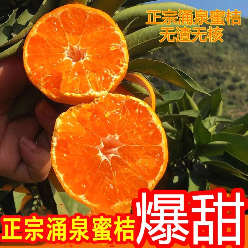 浙江临海涌泉蜜桔正宗橘子新鲜5斤当季水果整箱黄岩蜜橘甜旗舰店浙江省