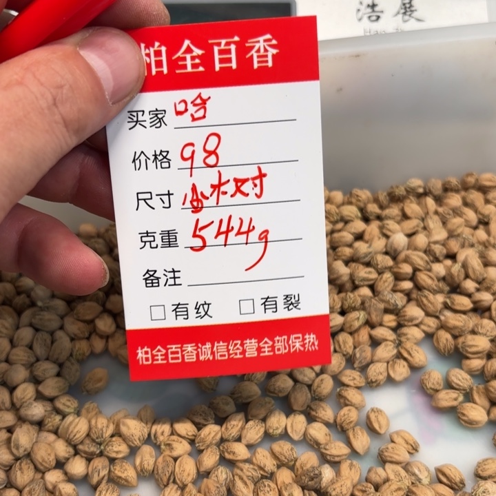 哈*柏香籽散子 544 克散子