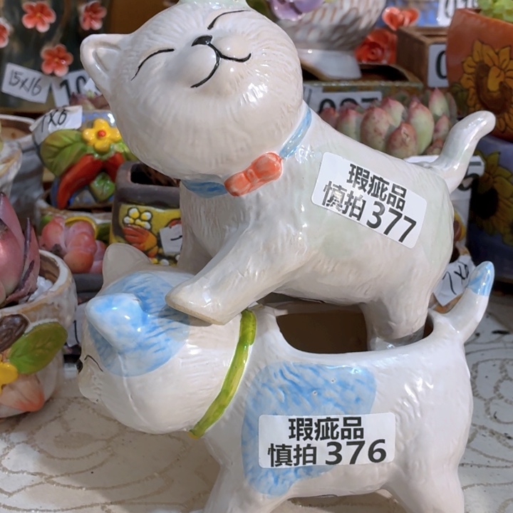 多肉花盆满15包邮