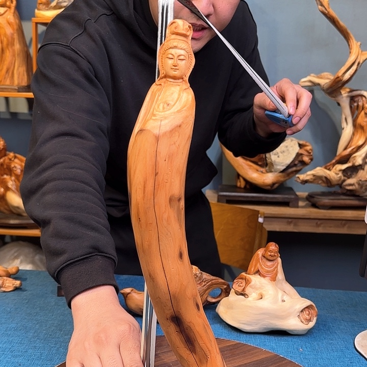 柏木（崖柏）关注一下