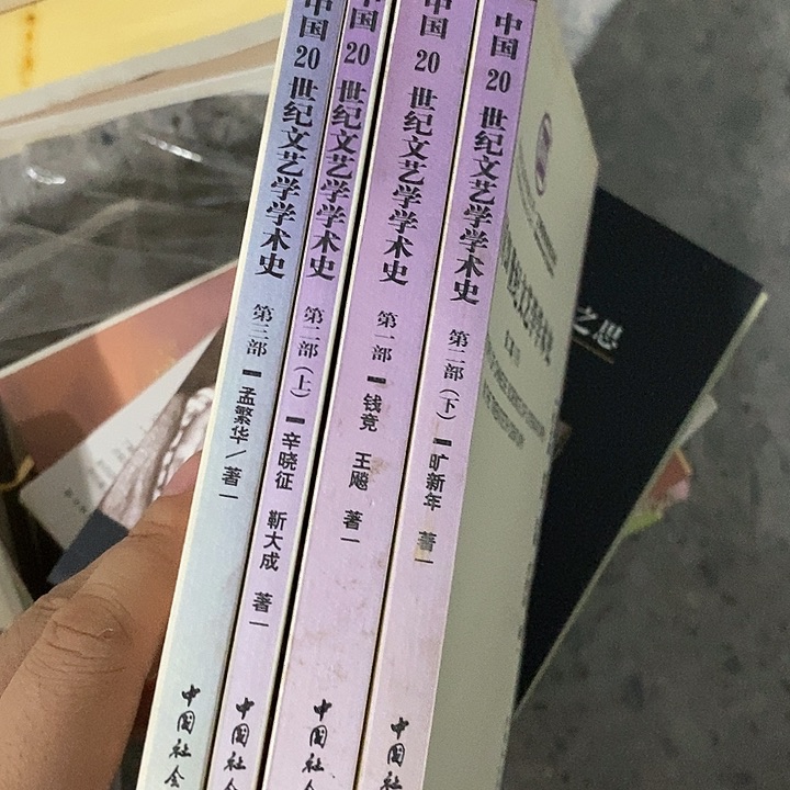 中国文艺学学术史