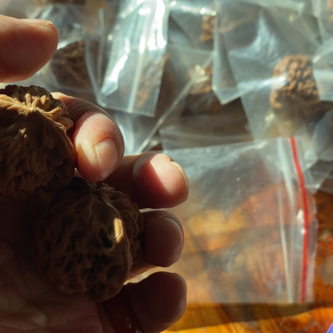 秦岭南侧和东北的山