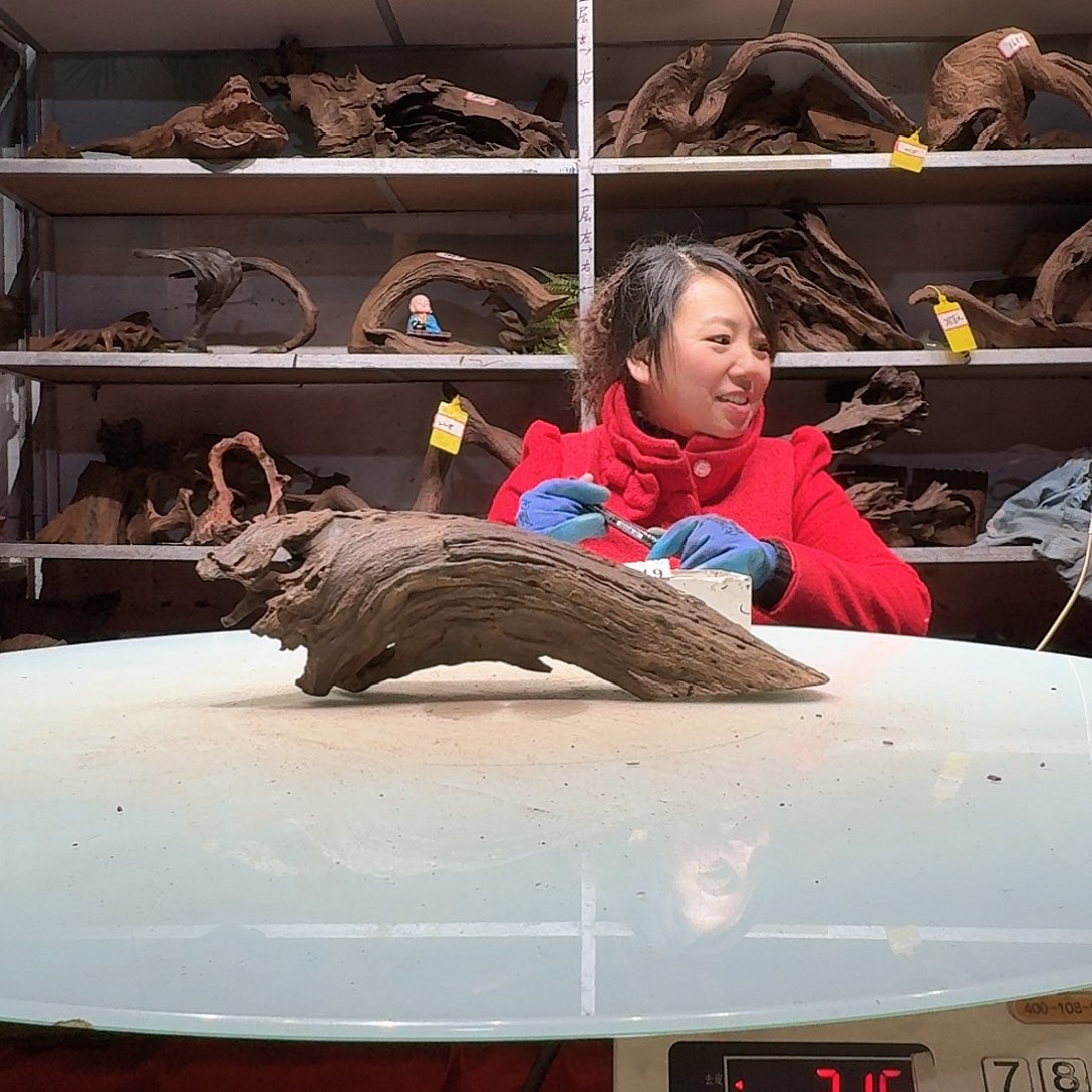 倍诸沉木不包损必褪色我**蒜6147