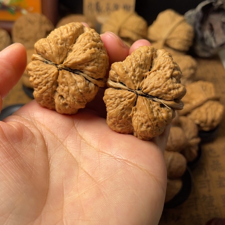 张***气云南野生铁核桃编号67