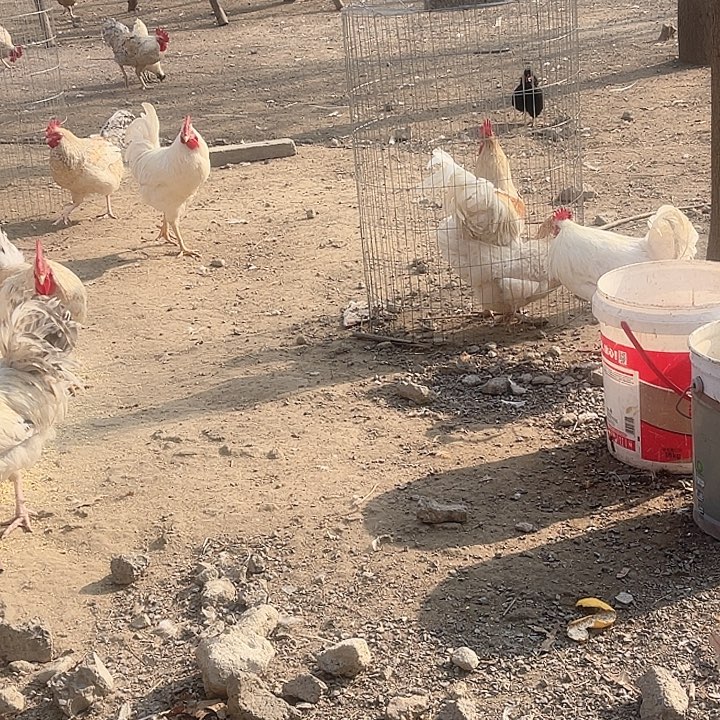 8江苏省食用农产品