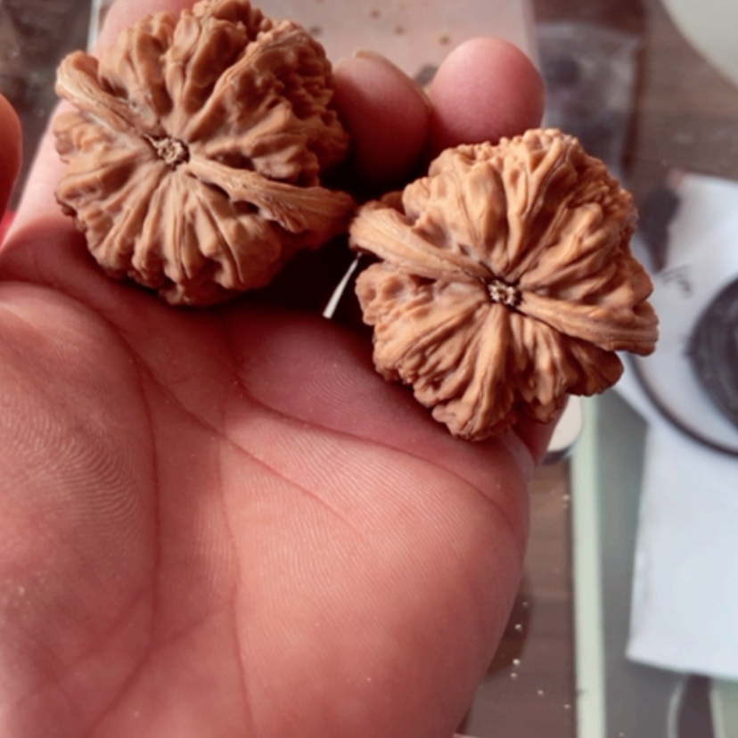 【闪购商品】@**辰45尺寸有磕碰大粗筋