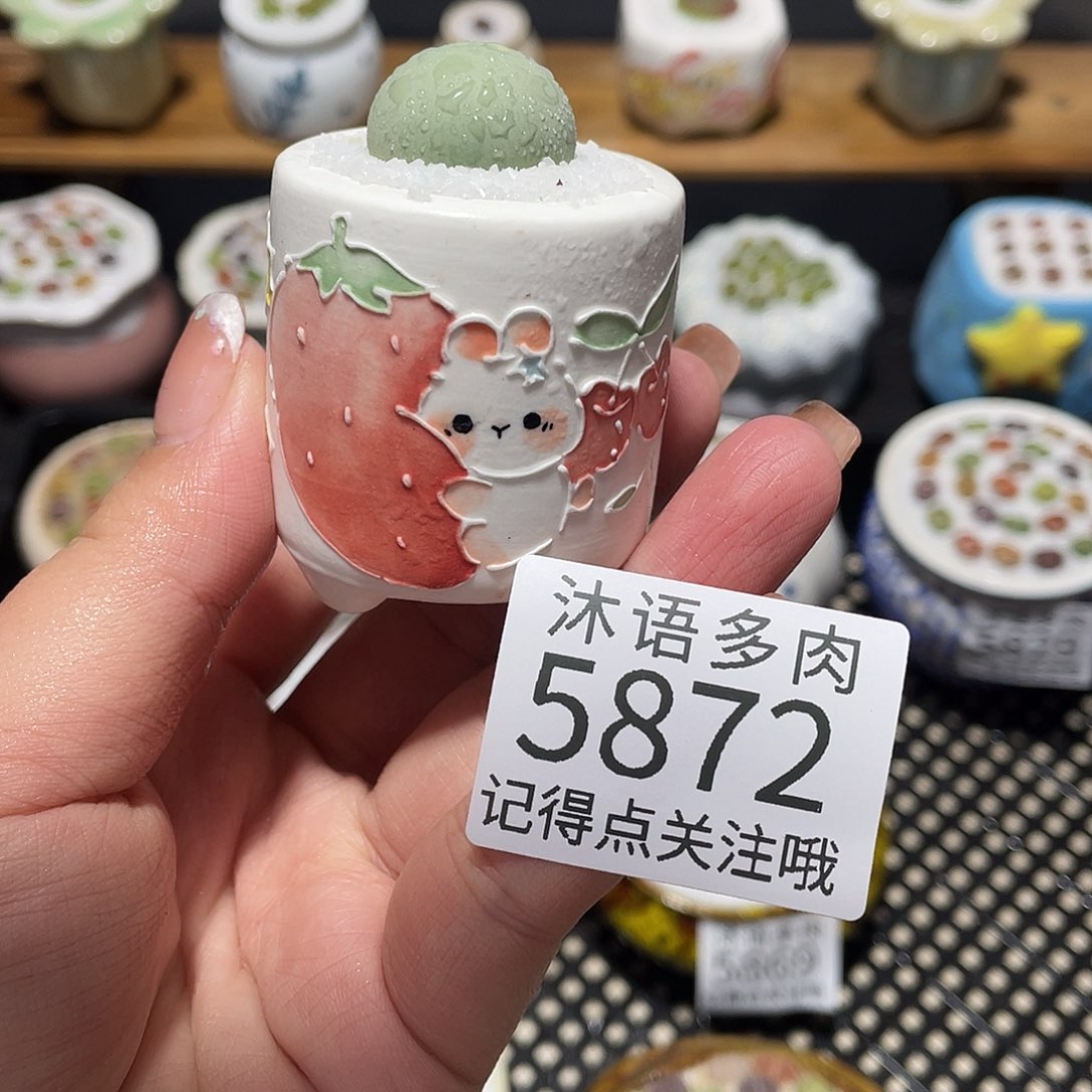 小***呼带盆土植物 一物一拍5872