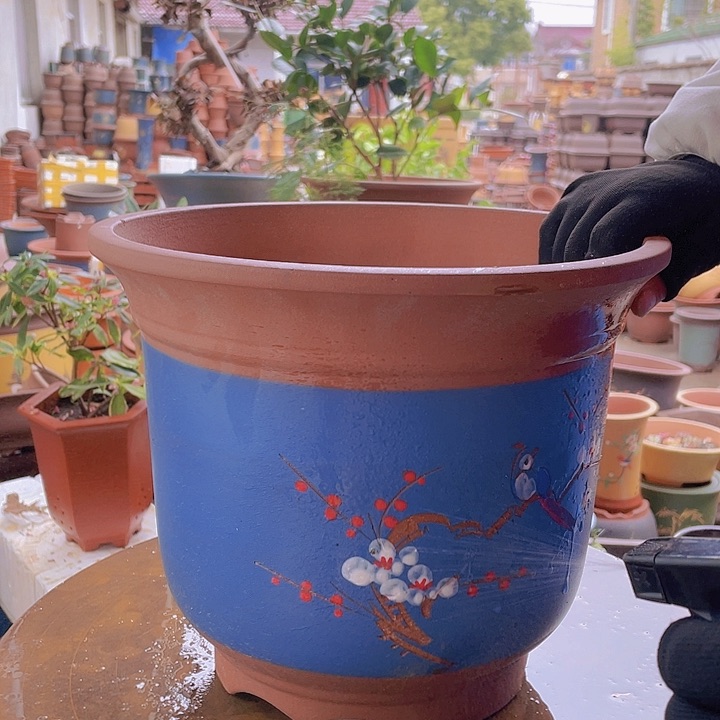 紫砂宜兴紫砂蓝点菜金钟30