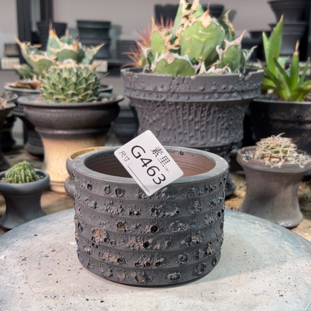 景德镇素里手工内口10.5高8