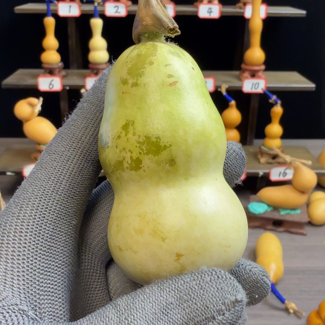 倍***儿木这个时候应该可以