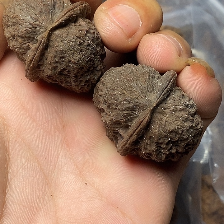 文玩核桃把件云南铁核桃1