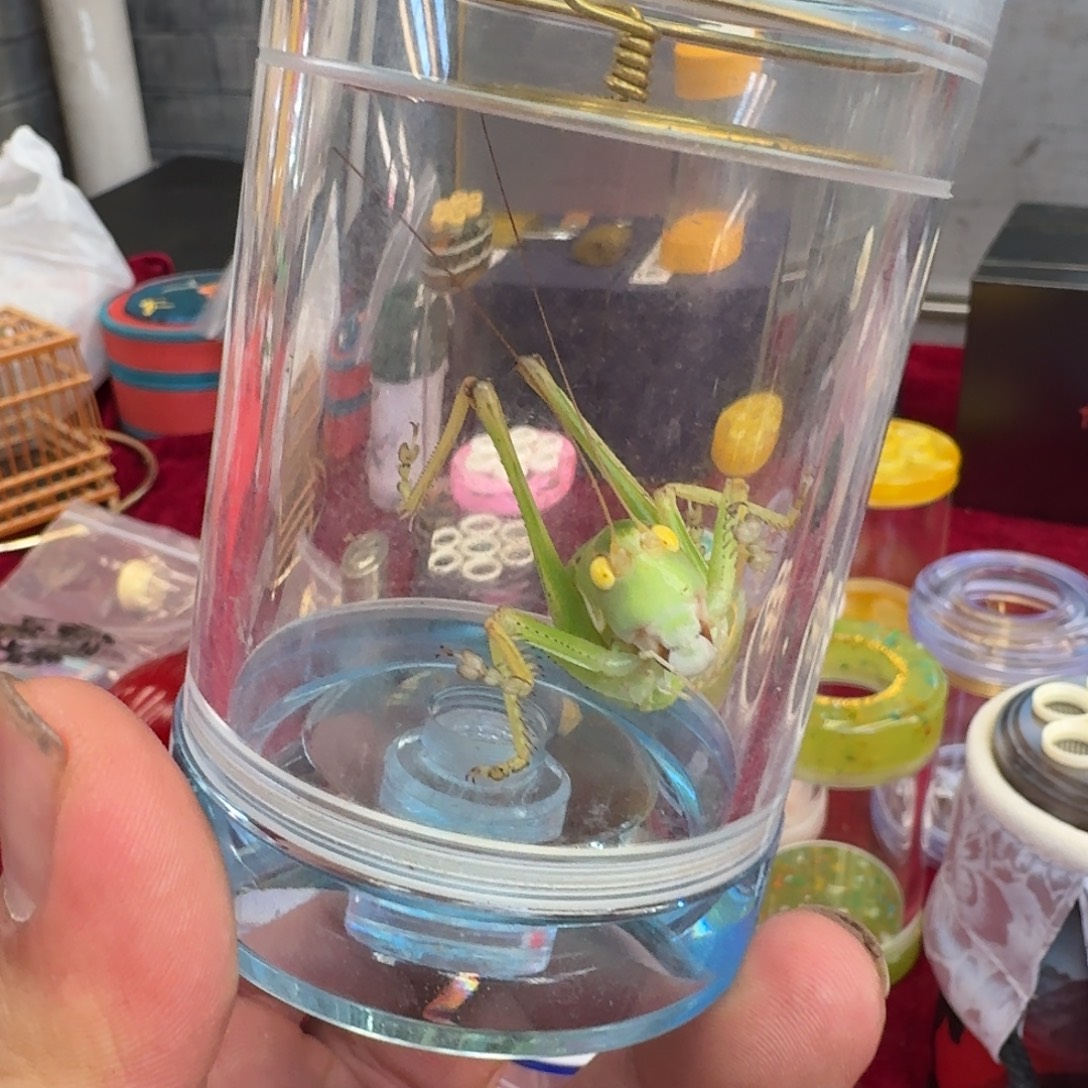 p***o绿蝈蝈自提哈哈哈哈