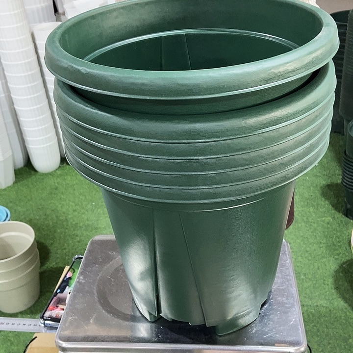 大青衫口32高28绿色无托6只