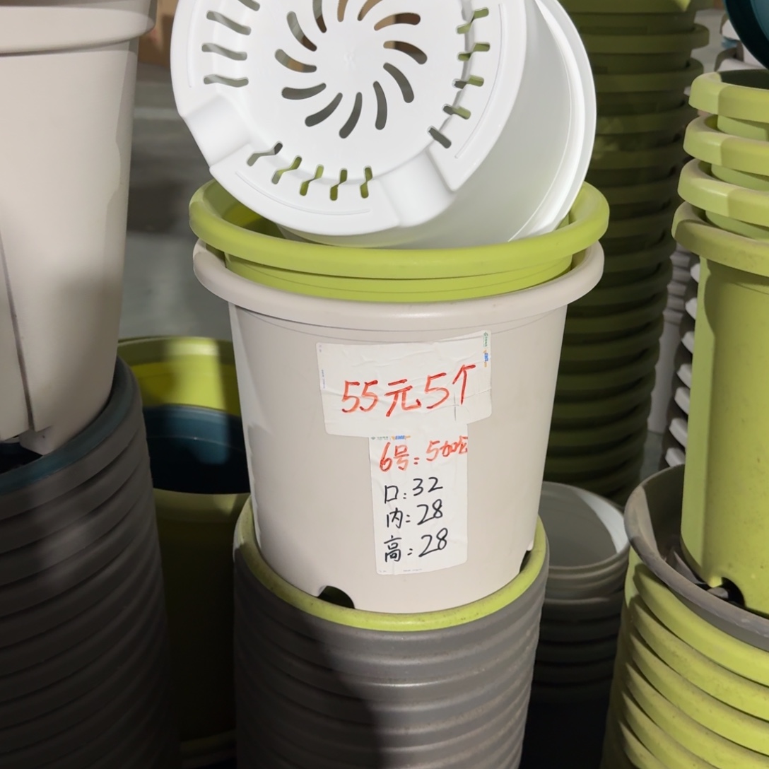 四季6#口径32无拖果绿5个