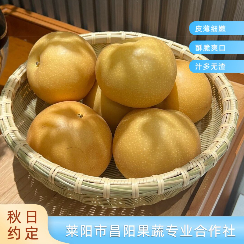 （京东包邮）（冬天必选）（秋日约定）2025正宗爆汁秋月梨