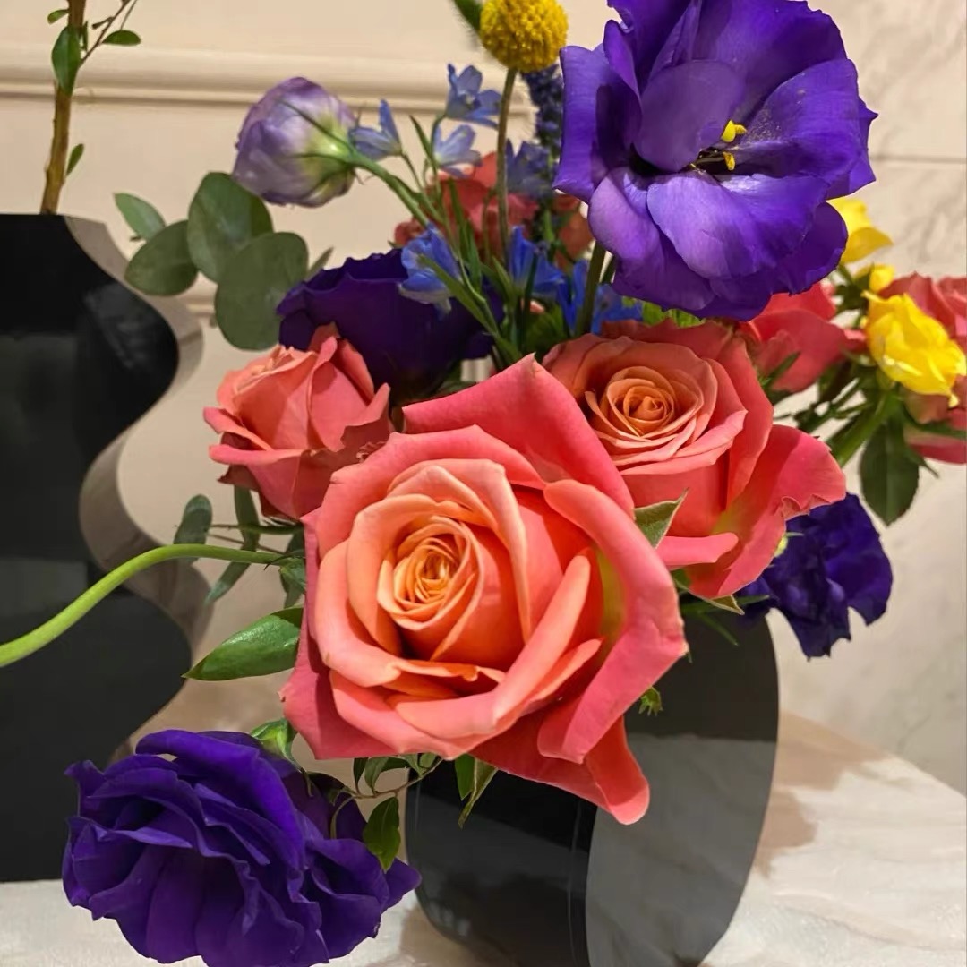 【超新品】诺言 云南玫瑰花苗大花浓香四季开花卉绿植盆栽植物