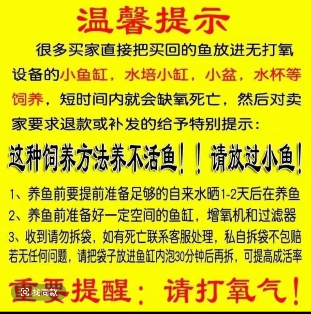 绿牌101-200号收到务必拍开箱视频红白三色德系锦鲤蝴蝶鲤小红草